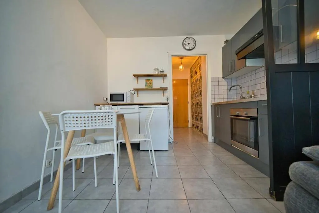 Charmant Appartement, En Plein Centre , Face A La Gare Centrale, Nice Centre Daire